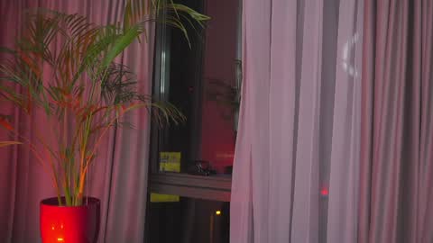 Nicolle online show from 01-30-25, 01:11