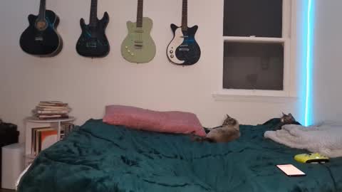 Duo online show from 03-12-25, 02:52