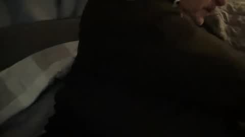 Snapshot of onthedlhere chatting on 12-24-24, 12:00 onthedlhere online show from 12-24-24, 12:00