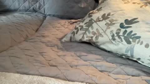 Snapshot of onthedlhere chatting on 01-09-25, 07:18 onthedlhere online show from 01-09-25, 07:18