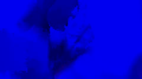 Snapshot of onurkneespls chatting on 09-28-25, 12:05 onurkneespls online show from 09-28-25, 12:05