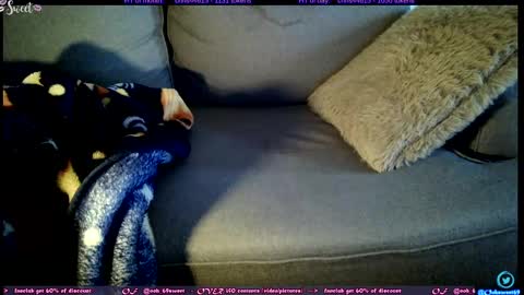  OF - Ooh 69sweet SNAP4LIFE OFFLINE  899 normal  VIP 1369 outside  online show from 11-05-25, 01:00