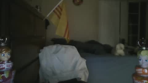 Snapshot of oorah1775 chatting on 03-01-25, 11:50 oorah1775 online show from 03-01-25, 11:50