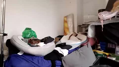 TsJojo online show from 12-01-25, 09:36