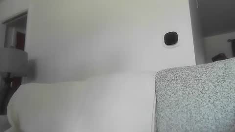 open_torequest online show from 02-23-26, 06:27