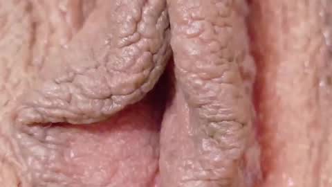 orchidekitty online show from 02-01-26, 09:13