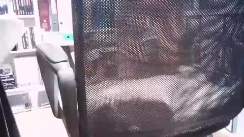 oren online show from 03-01-25, 02:44