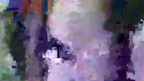 Snapshot of oretrail chatting on 02-11-25, 05:37 oretrail online show from 02-11-25, 05:37