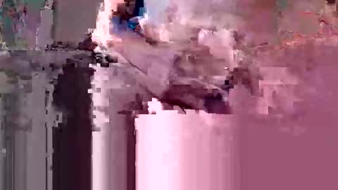 oretrail online show from 03-10-26, 10:48