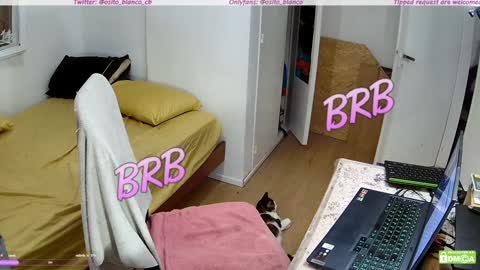 Snapshot of osito_blanco chatting on 01-30-25, 05:19 Osito Blanco online show from 01-30-25, 05:19