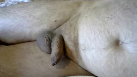 Snapshot of ovid77 chatting on 09-24-25, 06:17 ovid77 online show from 09-24-25, 06:17