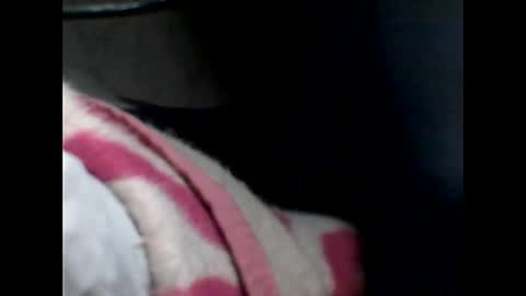 Snapshot of p_ro_rok chatting on 02-07-26, 02:04 p_ro_rok online show from 02-07-26, 02:04