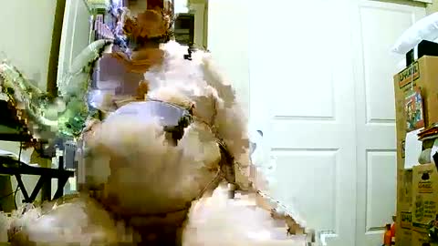 Snapshot of pafatguy chatting on 12-08-24, 01:14 Bill online show from 12-08-24, 01:14