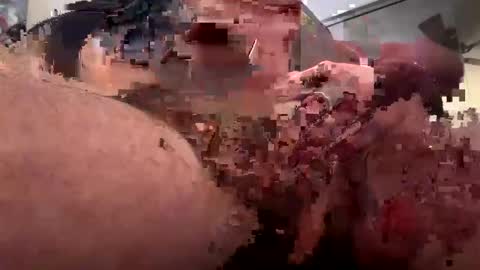 Rothkohammer online show from 02-10-25, 01:33