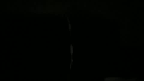 palley1120100250 online show from 12-17-25, 09:26