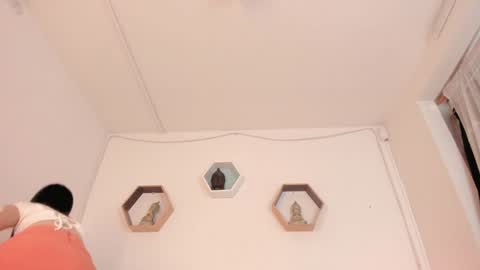 Snapshot of paloma_victory chatting on 01-21-25, 08:32 Paloma online show from 01-21-25, 08:32