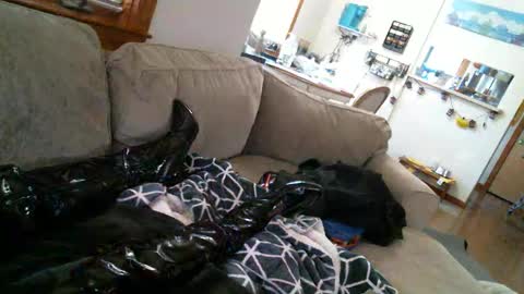 Snapshot of pantyhoselover934 chatting on 12-30-24, 10:23 Pantyhoselover online show from 12-30-24, 10:23