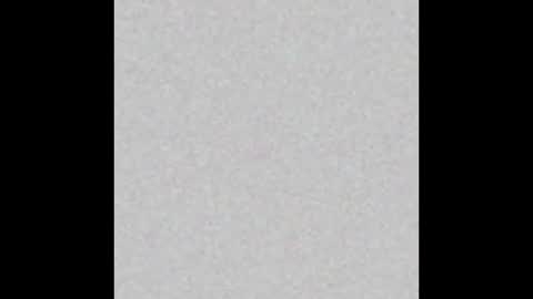 Paola Williams online show from 11-13-25, 08:41