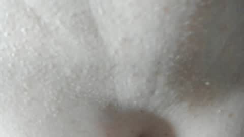 Snapshot of parejacachonda chatting on 12-07-24, 06:04 sara and andreu online show from 12-07-24, 06:04