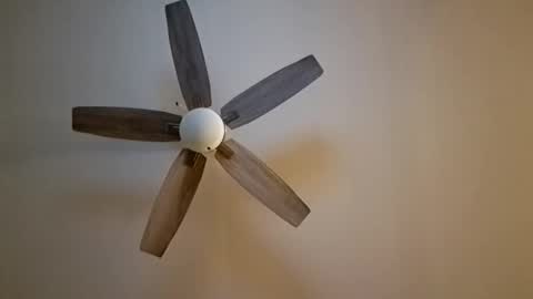 patrick247288 online show from 11-07-25, 06:13