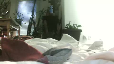 patrora online show from 11-30-25, 03:05