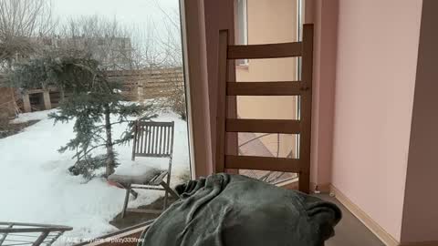 Andreea online show from 02-24-26, 07:06