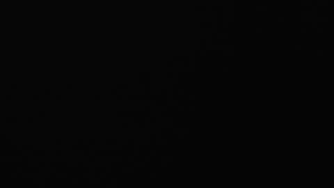 Snapshot of paula_beka chatting on 02-08-25, 09:03 paula online show from 02-08-25, 09:03