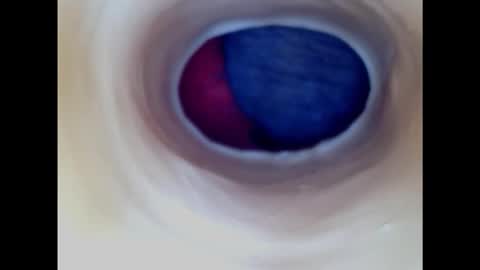 Paula 18 Aninhos online show from 01-18-25, 05:04