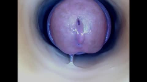 Paula 18 Aninhos online show from 01-24-25, 09:15