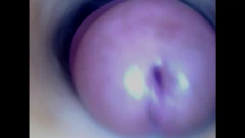 Paula 18 Aninhos online show from 01-29-25, 02:51