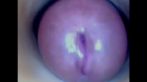 Paula 18 Aninhos online show from 01-29-25, 08:56