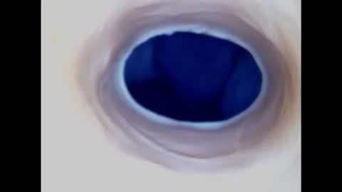 Paula 18 Aninhos online show from 01-30-25, 10:08