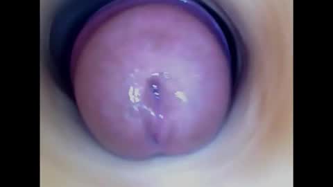 Snapshot of paulainoscente chatting on 10-14-25, 06:20 Paula 18 Aninhos online show from 10-14-25, 06:20