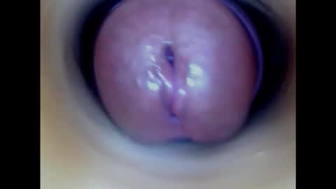 Snapshot of paulainoscente chatting on 10-21-25, 11:38 Paula 18 Aninhos online show from 10-21-25, 11:38