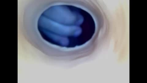 Snapshot of paulainoscente chatting on 11-02-25, 02:36 Paula 18 Aninhos online show from 11-02-25, 02:36