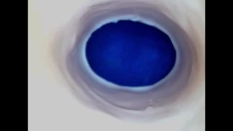 Snapshot of paulainoscente chatting on 11-09-25, 07:34 Paula 18 Aninhos online show from 11-09-25, 07:34