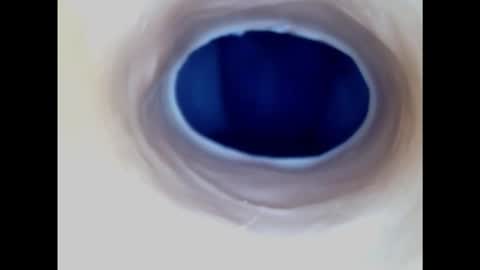 Snapshot of paulainoscente chatting on 11-17-25, 05:24 Paula 18 Aninhos online show from 11-17-25, 05:24