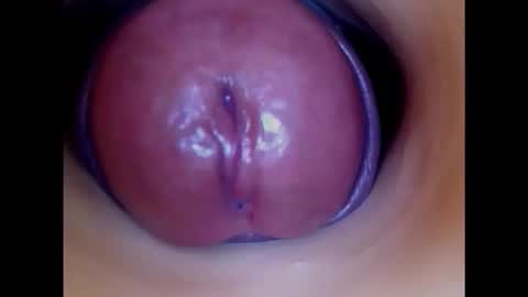 Snapshot of paulainoscente chatting on 11-20-25, 07:30 Paula 18 Aninhos online show from 11-20-25, 07:30