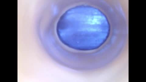 Snapshot of paulainoscente chatting on 12-02-25, 02:28 Paula 18 Aninhos online show from 12-02-25, 02:28