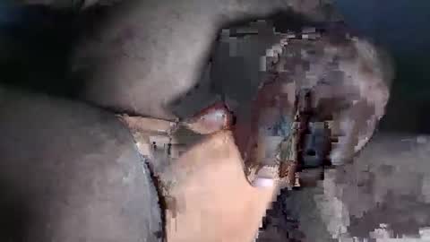 Snapshot of paulcockring chatting on 11-23-25, 04:34 paulcockring online show from 11-23-25, 04:34