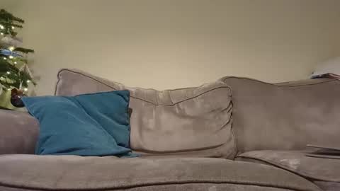 pugwall22 online show from 12-16-24, 08:05