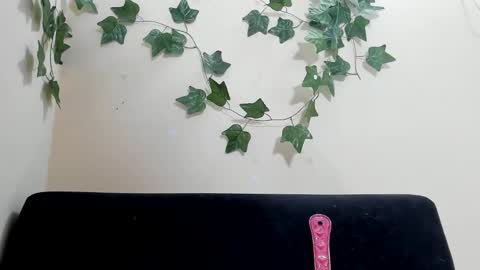 Paulinches online show from 02-09-26, 08:24