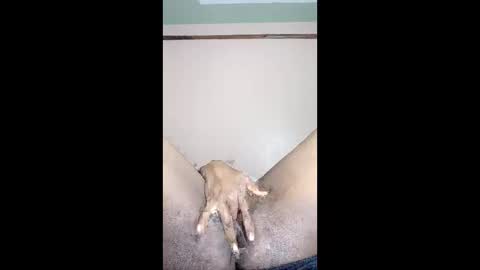 Snapshot of paulveshmah chatting on 03-23-26, 12:42 paulveshmah online show from 03-23-26, 12:42