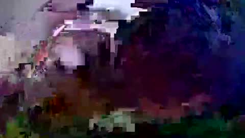 Snapshot of pay2playangel12 chatting on 12-21-24, 10:06 Coco channel online show from 12-21-24, 10:06