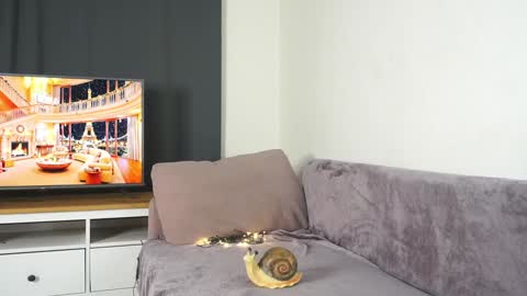 Violetta online show from 12-29-24, 03:03