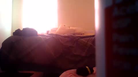 Snapshot of pebblessmith453 chatting on 11-10-25, 02:49 pebblessmith453 online show from 11-10-25, 02:49