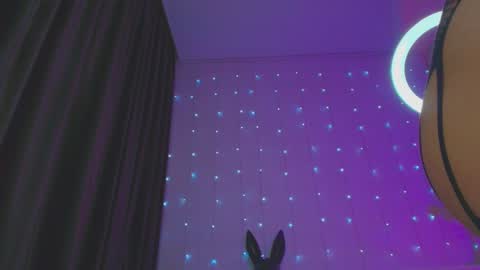 Snapshot of pepper_cat chatting on 01-21-25, 02:33 Dia online show from 01-21-25, 02:33