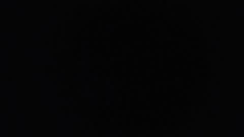 lecia online show from 10-31-25, 08:48