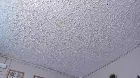 Ludoziel 19 online show from 12-01-25, 03:22