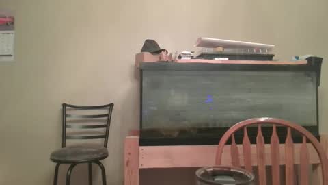 Snapshot of petefaquino chatting on 12-28-24, 03:04 pete online show from 12-28-24, 03:04